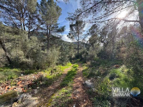 Terreno en Cv-749, 2 photo 1