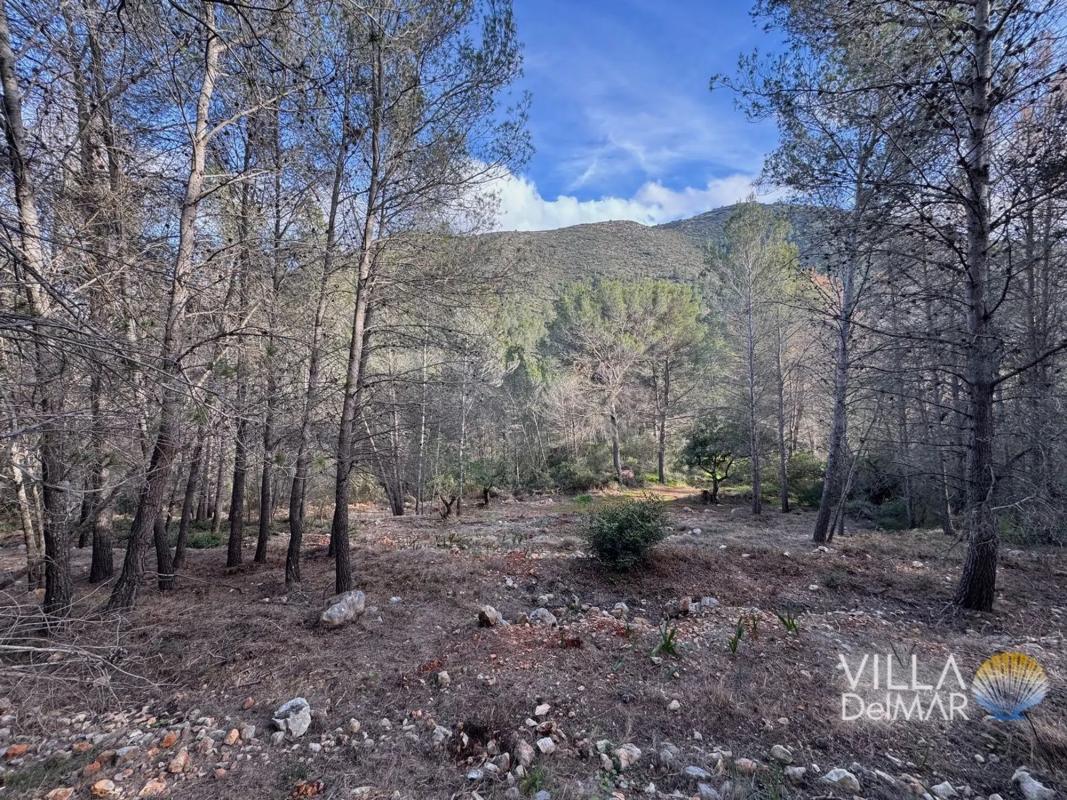 Land for sale in Jalón, Alicante photo 2