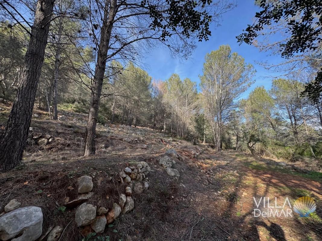 Land for sale in Jalón, Alicante photo 5
