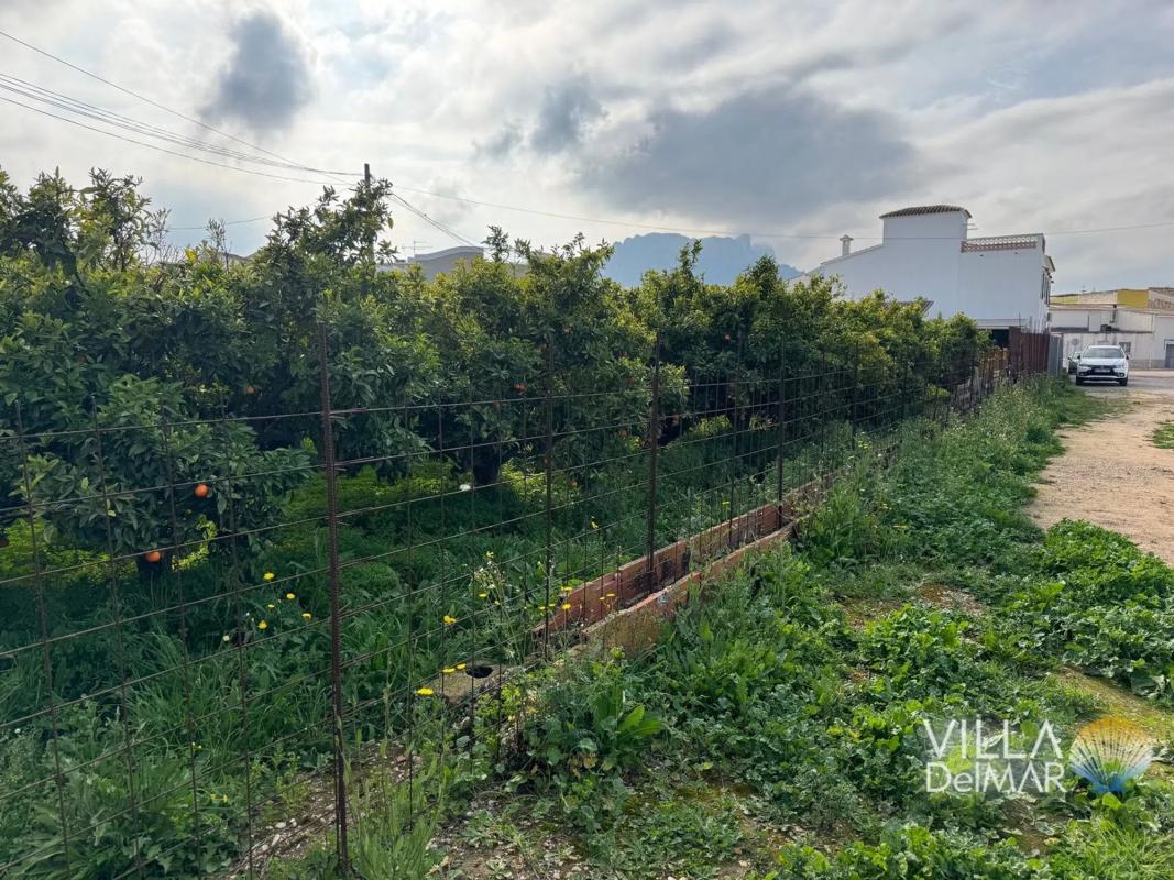 Участок земли на продажу в Эльс Поблетс, Аликанте photo 4