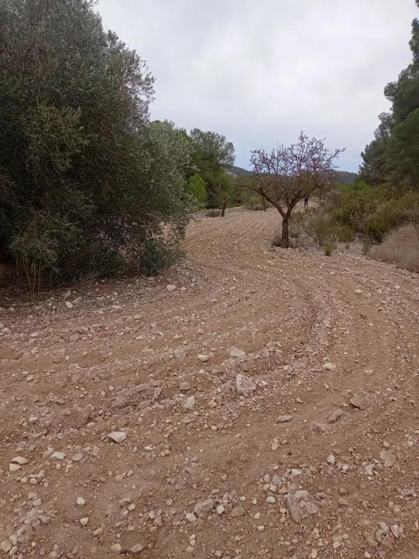 Terreno en venta en Monovar, Alicante photo 2