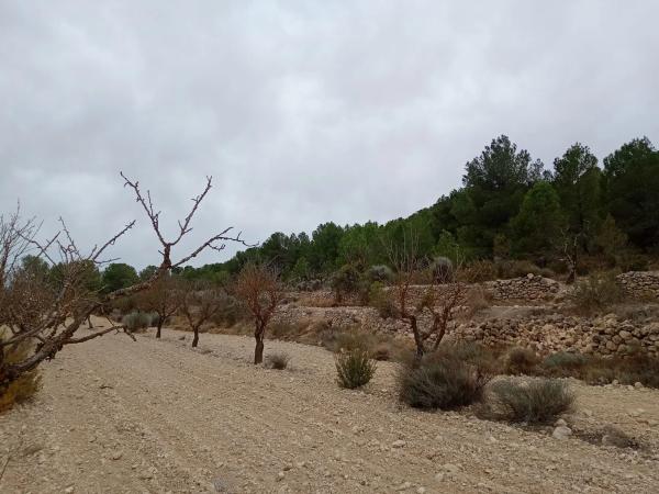 Terreno en via sense nom s/n photo 3