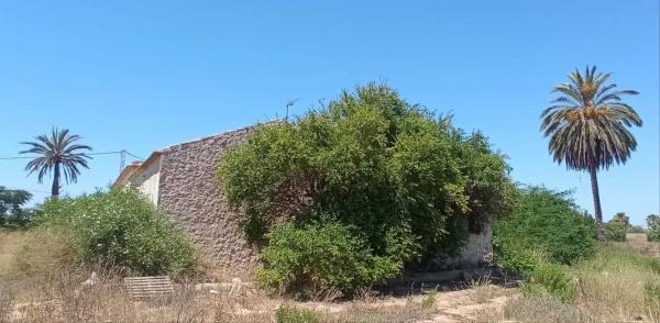 Terreno en via Partida de San Bruno s/n photo 3