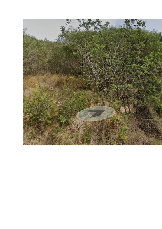 Terreno en venta en Jávea/Xàbia, Alicante photo 4