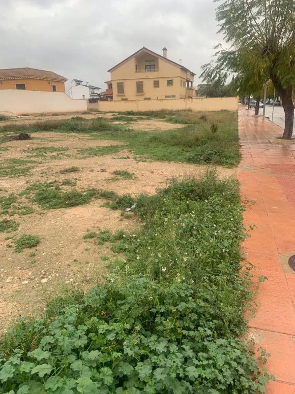 Terreno en venta en Albatera, Alicante photo 3