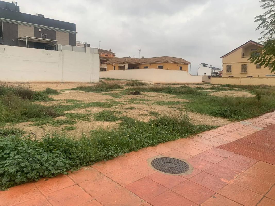 Terreno en venta en Albatera, Alicante photo 5