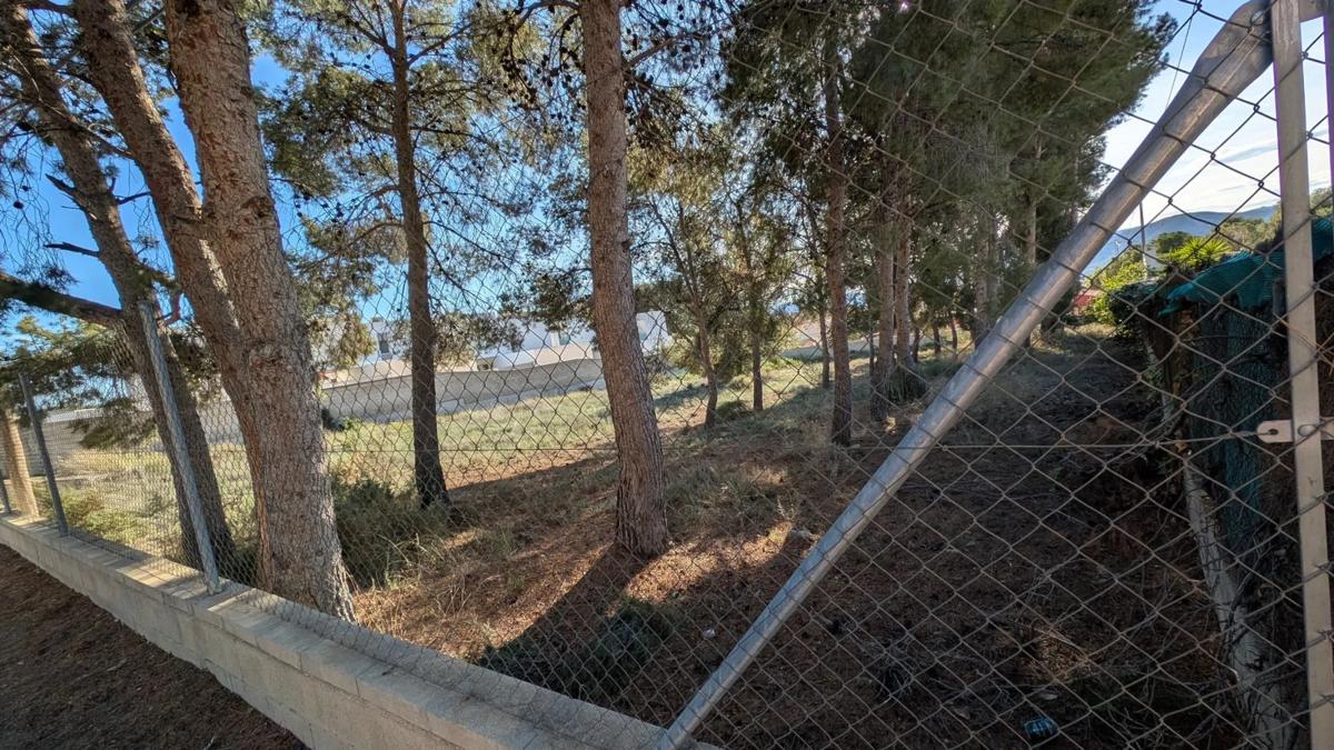 Terreno en venta en Petrer, Alicante photo 3