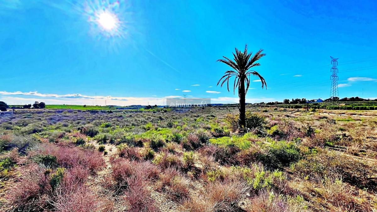 Terreno en venta en Alicante / Alacant, Alicante photo 4