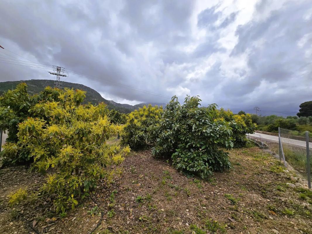 Terreno en venta en Pego, Alicante photo 2