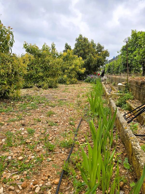 Terreno en venta en Pego, Alicante photo 3