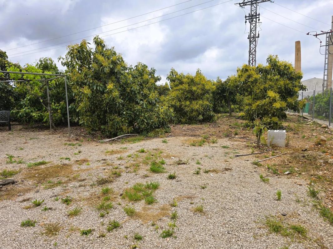 Terreno en venta en Pego, Alicante photo 4