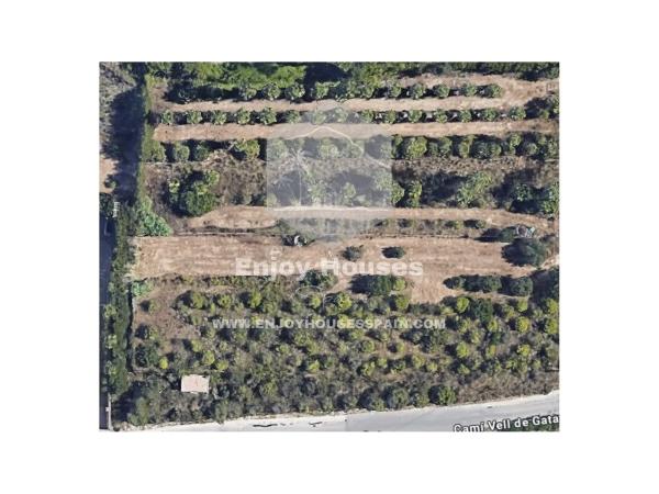 Terreno en Partida Tosal - Zona dels Castellans photo 1