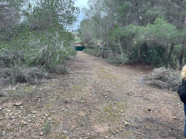 Terreno en calle Avestruz, 154 photo 1