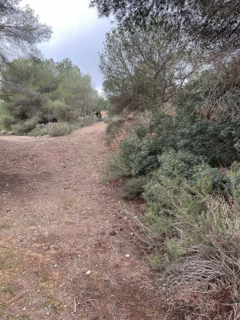 Terreno en calle Avestruz, 154 thumbnail 2