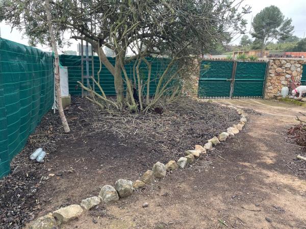 Terreno en calle Avestruz, 154 photo 4