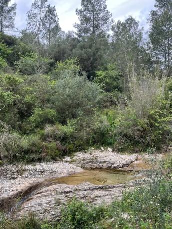 Terreno en Corral Nou, 17 photo 1