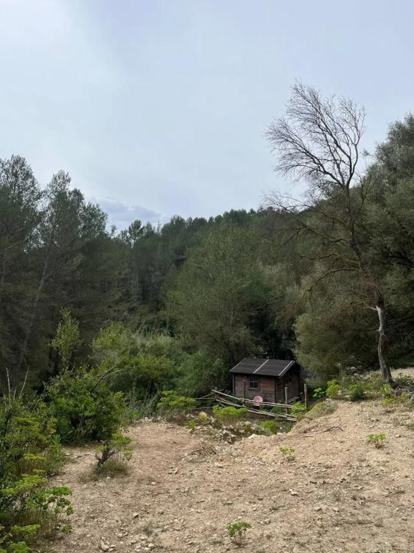 Terreno en venta en Tarbena, Alicante photo 3