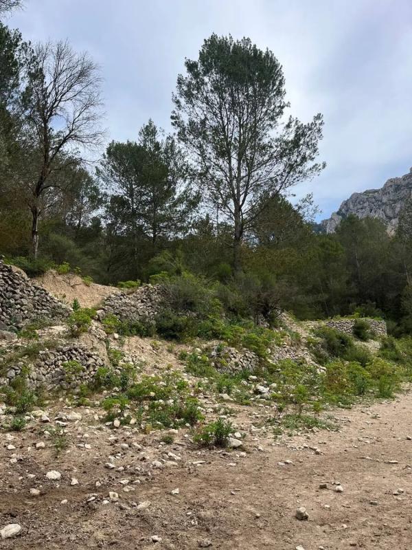 Terreno en venta en Tarbena, Alicante photo 5