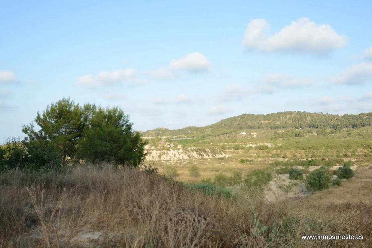Terreno en venta en Orihuela, Alicante photo 3