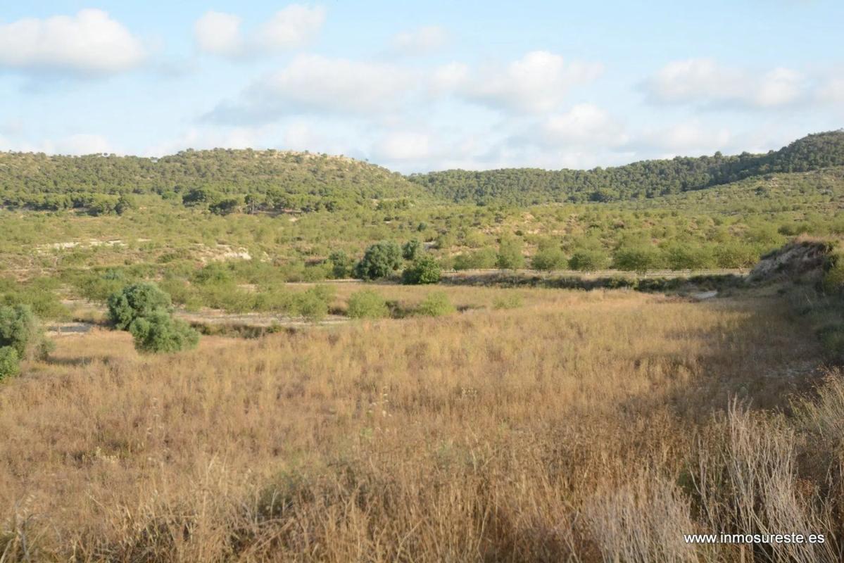 Terreno en venta en Orihuela, Alicante photo 4