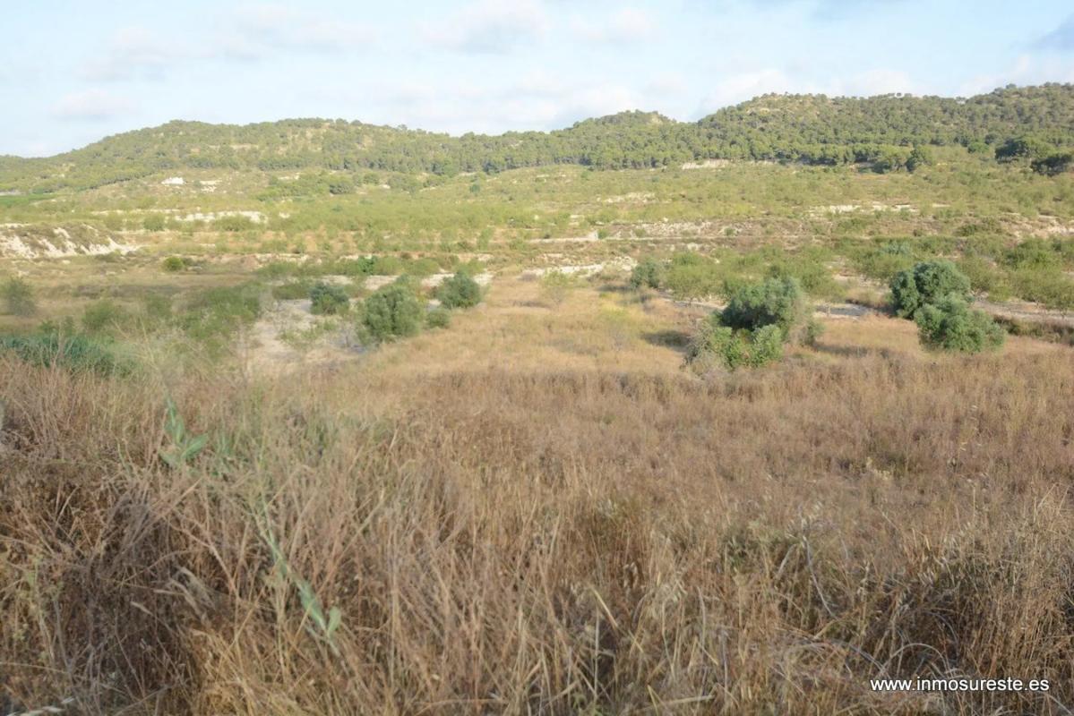 Terreno en venta en Orihuela, Alicante photo 5