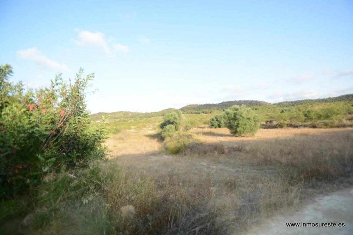 Участок земли на продажу в Ориуэла, Аликанте photo 5