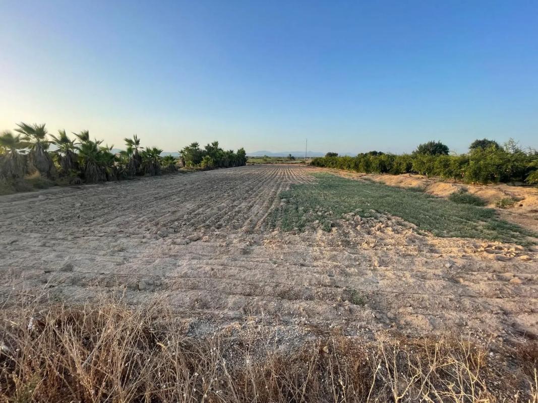 Terreno en venta en Elche / Elx, Alicante photo 1