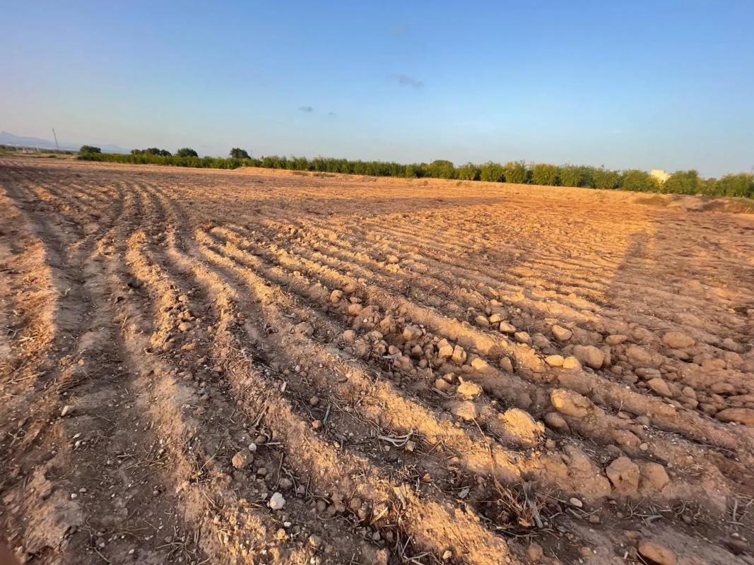 Terreno en venta en Elche / Elx, Alicante photo 3