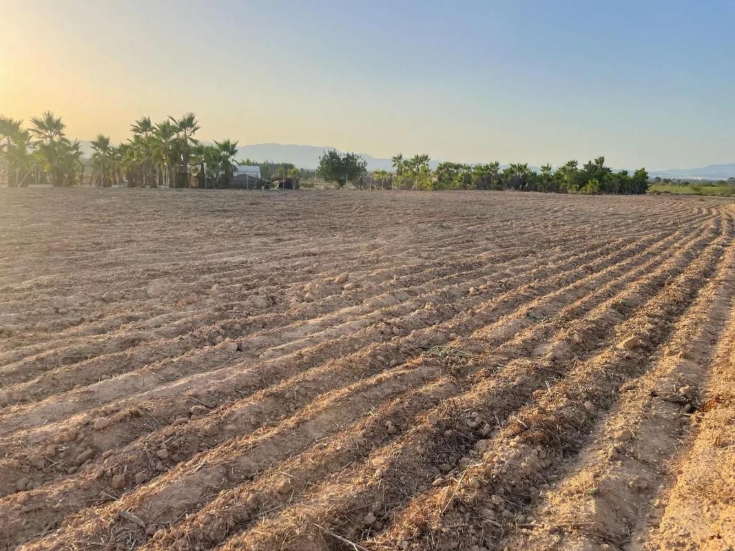 Terreno en venta en Elche / Elx, Alicante photo 4