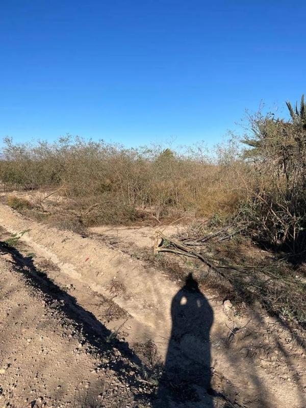 Działka na sprzedaż w Elche / Elx, Alicante photo 1