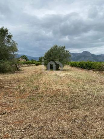 Terreno en Benidoleig photo 1