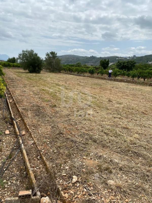 Land for sale in Benidoleig, Alicante photo 2