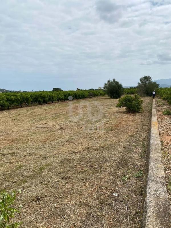 Land for sale in Benidoleig, Alicante photo 3