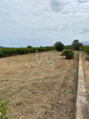 Terreno en Benidoleig photo 3