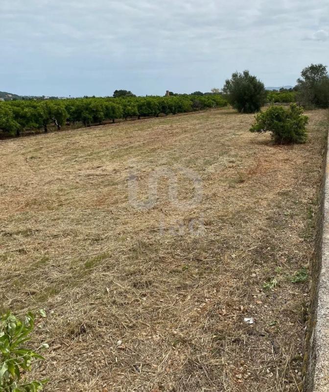 Land for sale in Benidoleig, Alicante photo 4