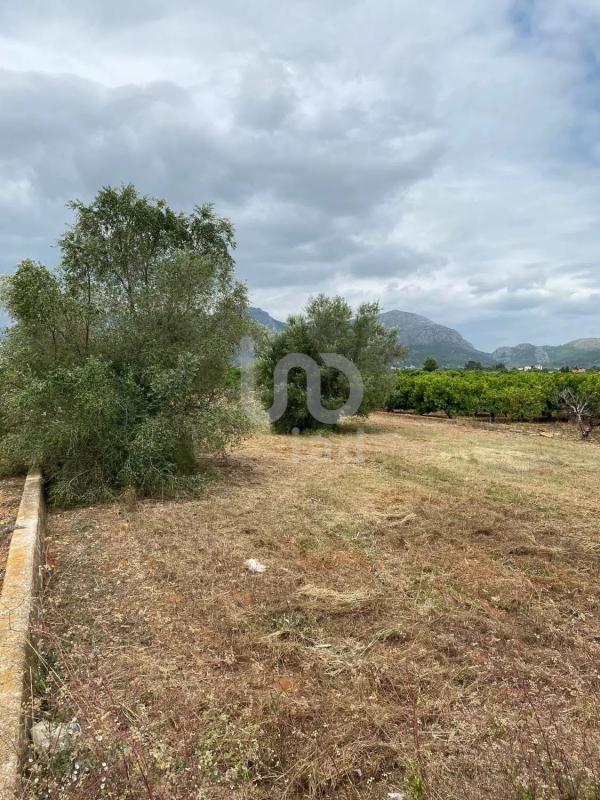Land for sale in Benidoleig, Alicante photo 5