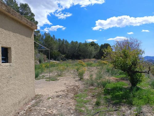 Terreno en Callosa d'En Sarria photo 1