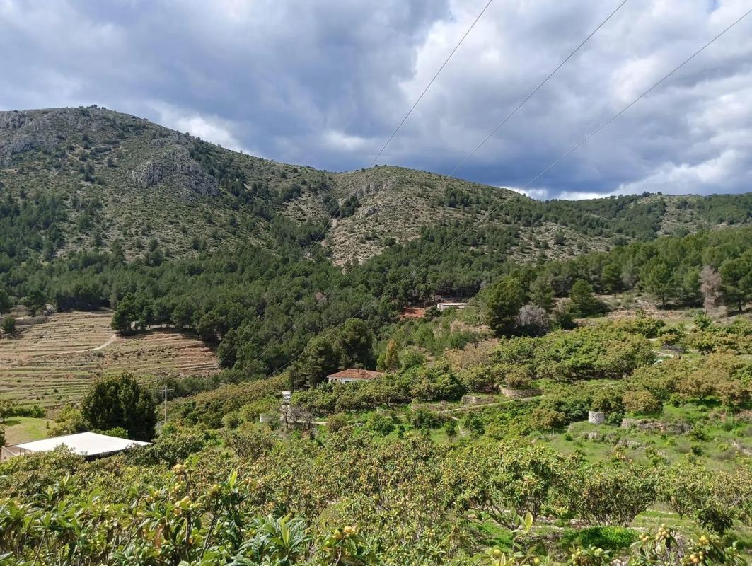 Działka na sprzedaż w Callosa d'En Sarria, Alicante photo 5