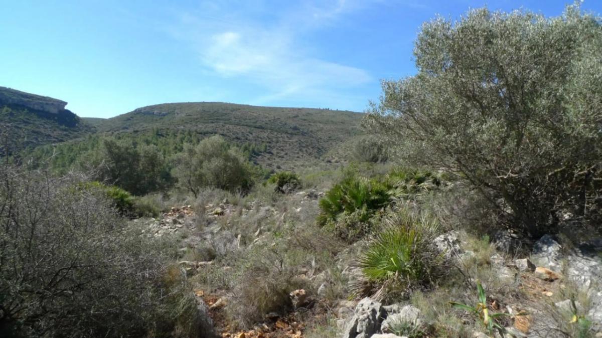 Terreno en venta en Benichembla, Alicante photo 1