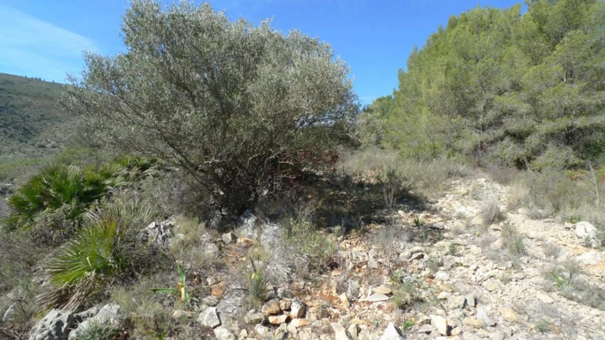 Terreno en venta en Benichembla, Alicante photo 2