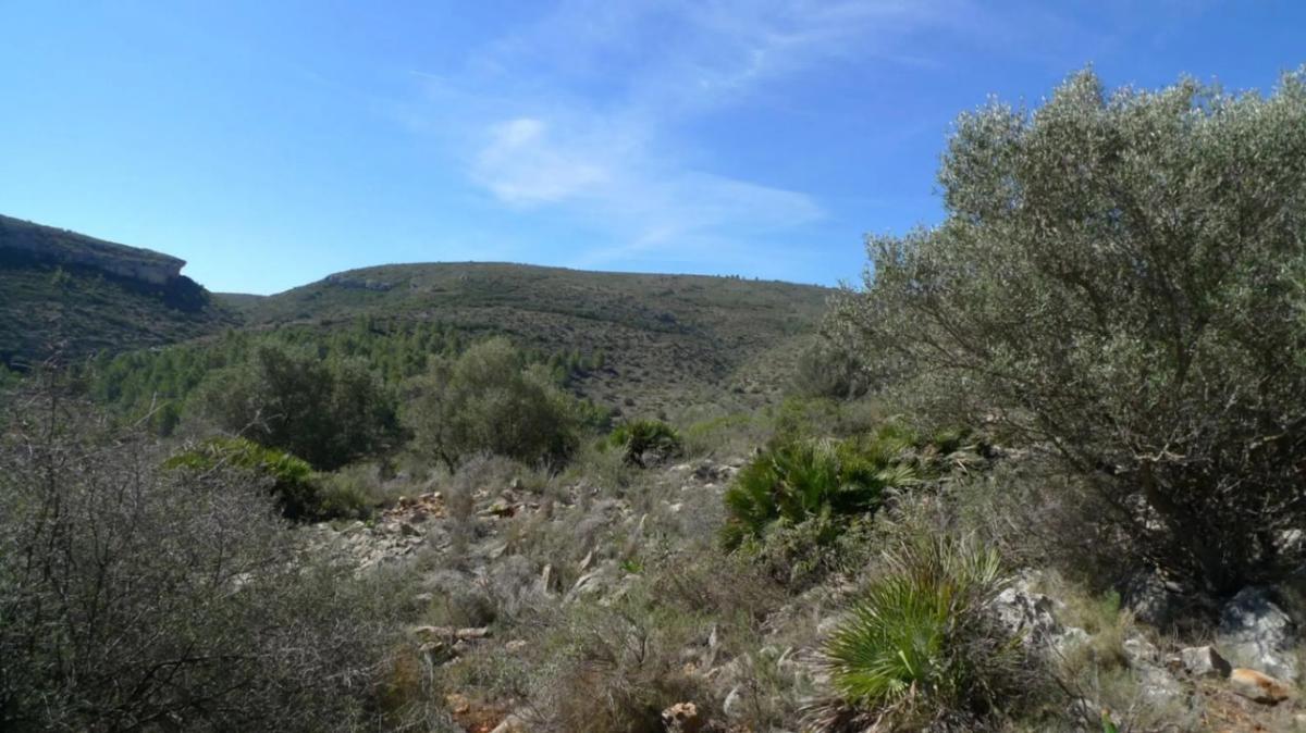 Terreno en venta en Benichembla, Alicante photo 3