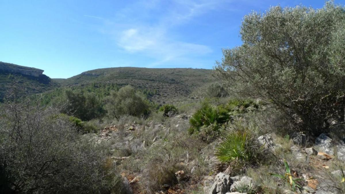 Terreno en venta en Benichembla, Alicante photo 4