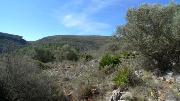 Terreno en Benichembla photo 4