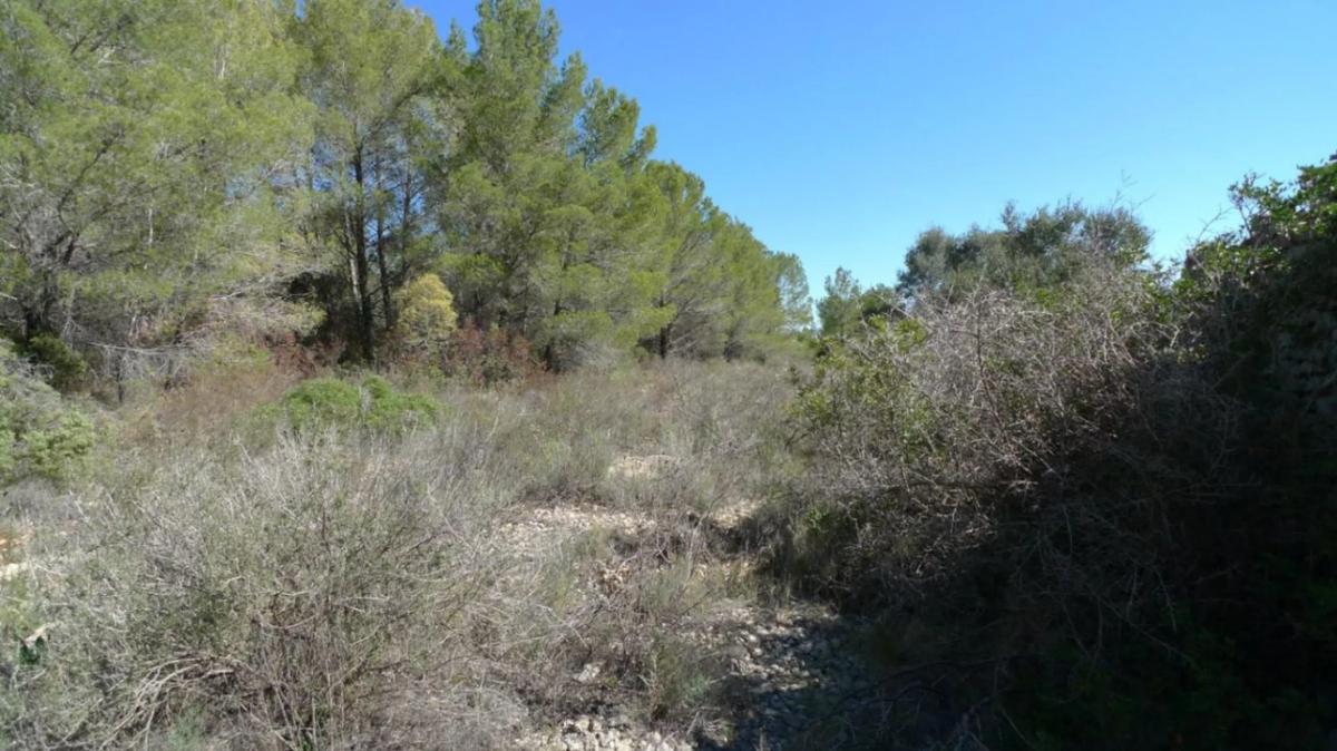Terreno en venta en Benichembla, Alicante photo 5