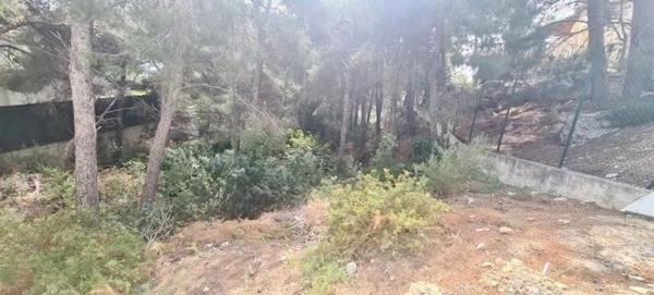 Terreno en calle la Guatla photo 1
