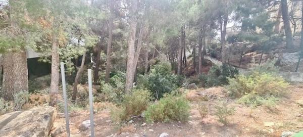 Terreno en calle la Guatla photo 2