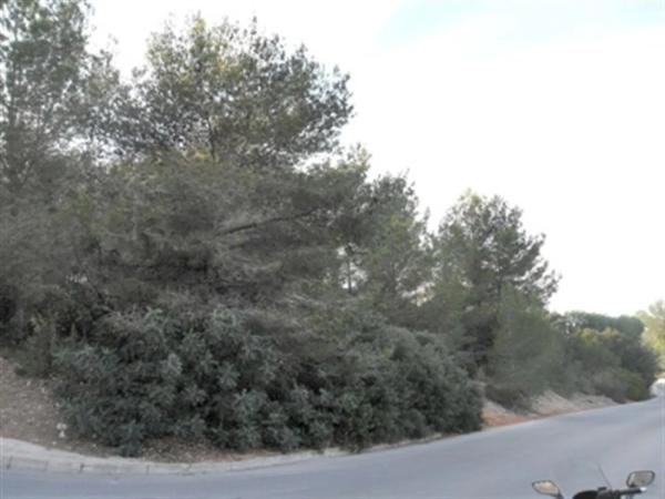 Terreno en Pedreguer photo 1