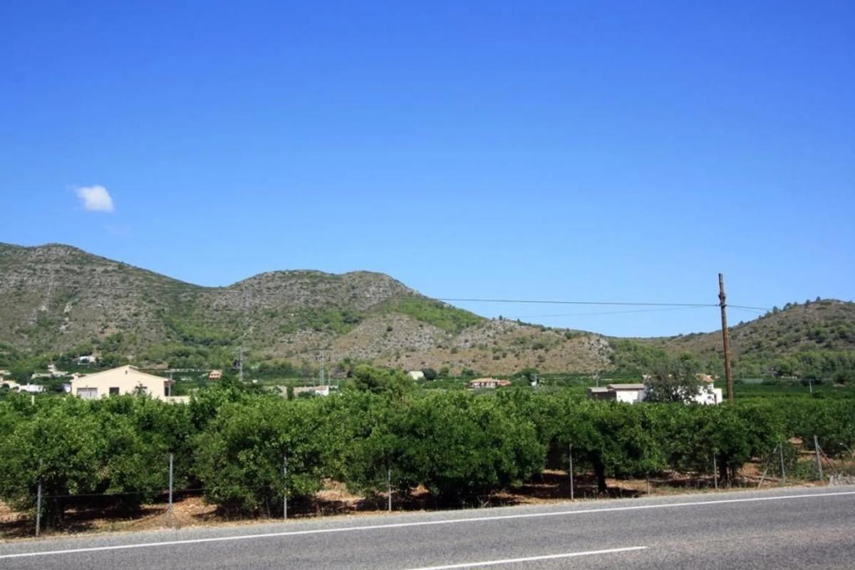 Land for sale in Pego, Alicante photo 4