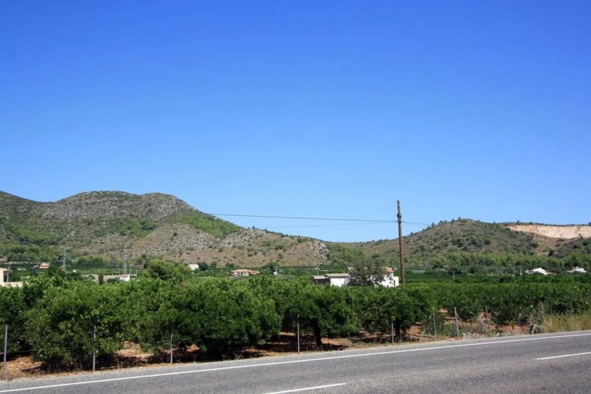 Land for sale in Pego, Alicante photo 5