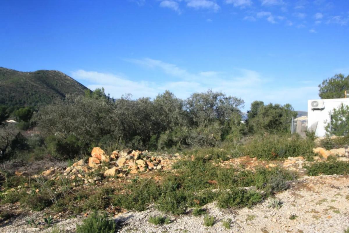Land for sale in Llíber, Alicante photo 3